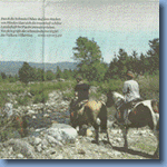 Artikel: Zu Pferd über die Anden